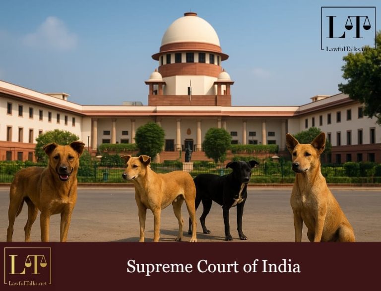 Stray Dogs Face Court Crackdown : SC Slams Release-Back Policy
